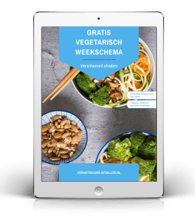 vegetarisch dieetschema