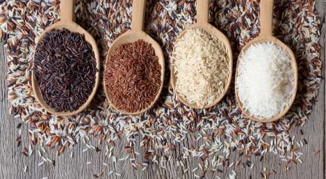 granen zijn de basis van de buddha bowl