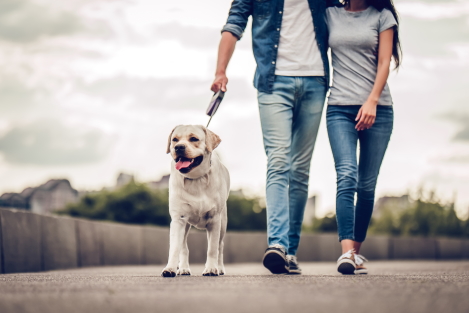 wandelen voor meer stappen per dag